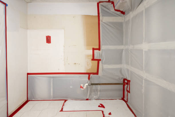 Best Environmental Consulting for Mold Prevention  in USA